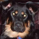 Dodie was adopted in August, 2004